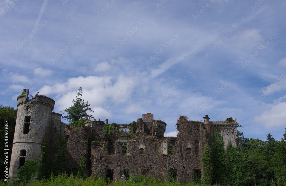 Fototapeta premium Ruines du château du Bois du Loup