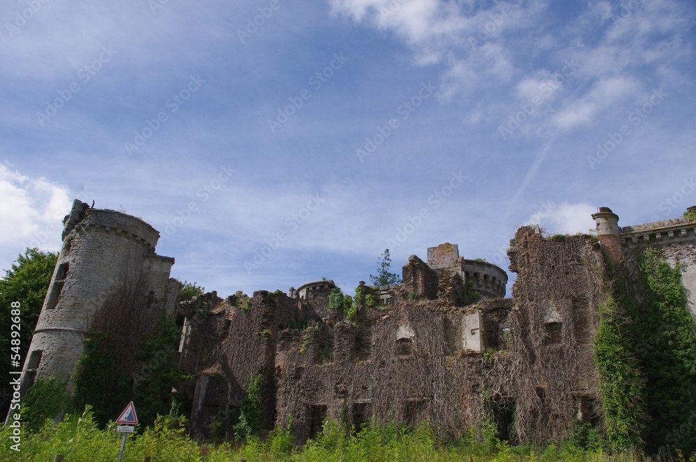 Les ruines du château de Coëtquidan