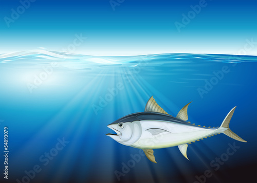 Tuna