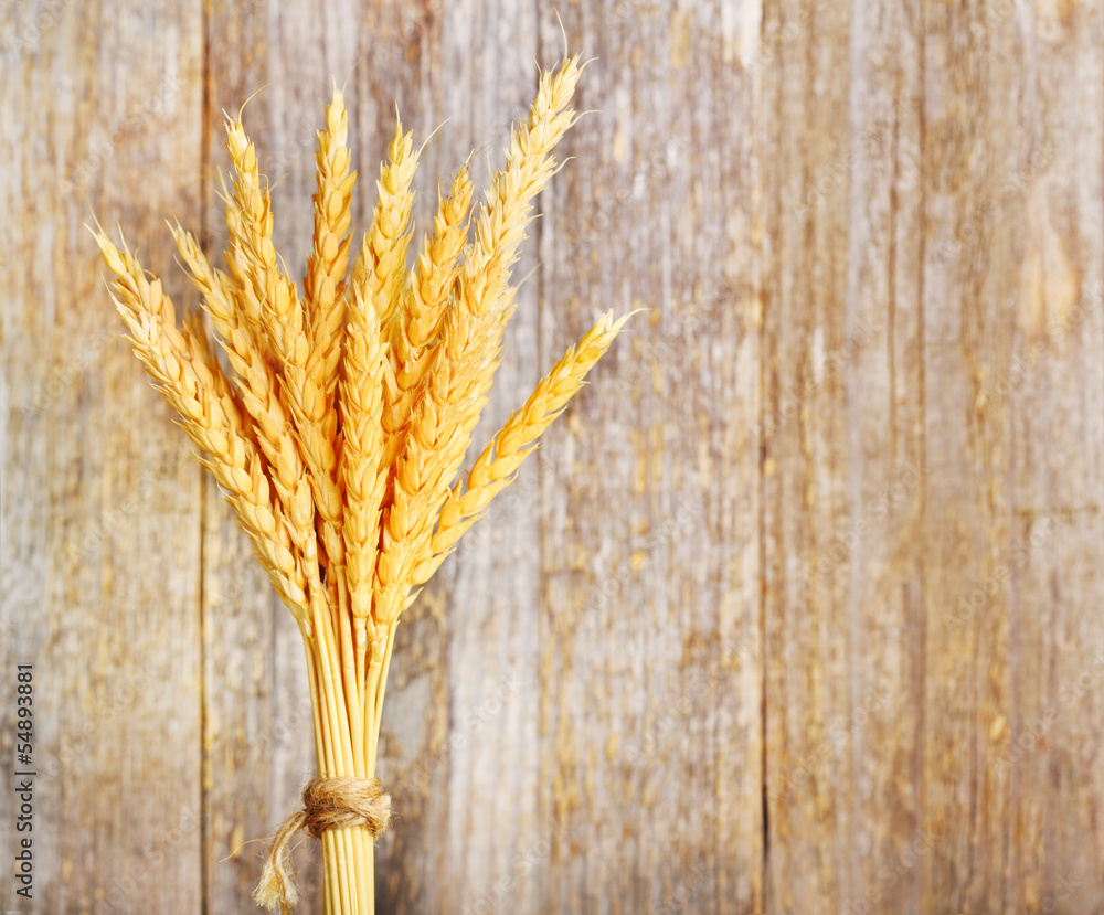 Fototapeta premium Wheat ears