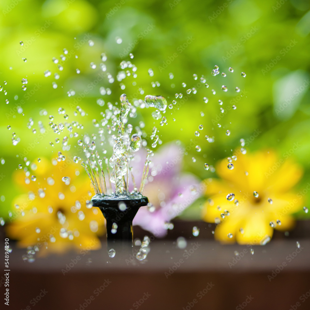kleiner springbrunnen StockFoto Adobe Stock