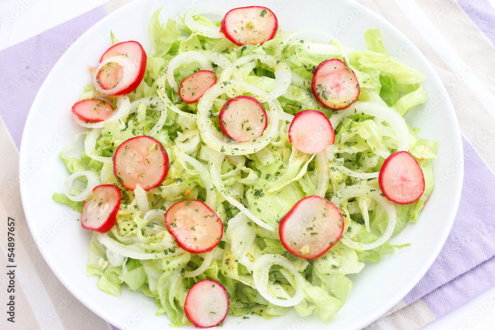 frischer Salat frischer Salat