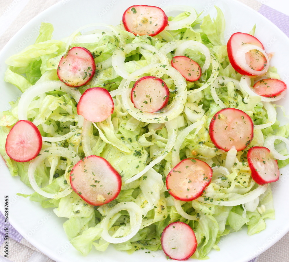 frischer Salat frischer Salat