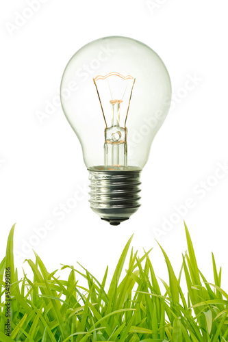 vintage lightet bulb and green grass background