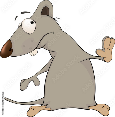The confused infant rat