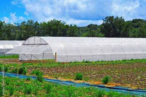 high tunnels photo