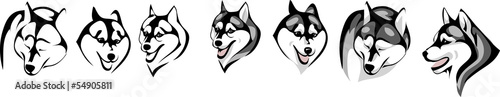 vector drawing portraits showing different breed Siberian Husky