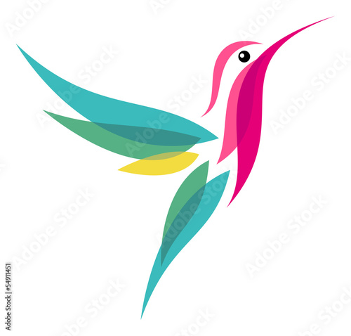 Valokuva Hummingbird