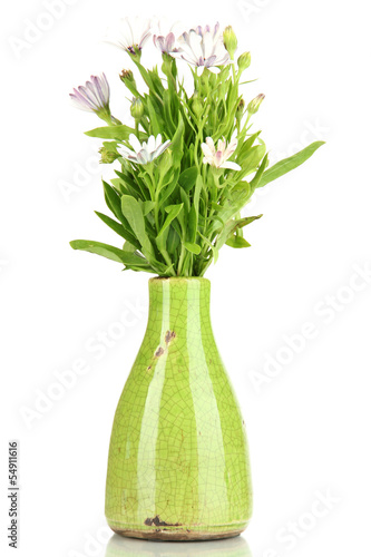 Bouquet of beautiful summer flowers in color vase  isolated