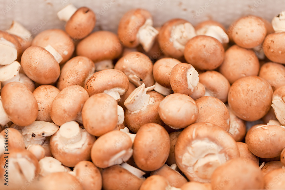 frische gesunde baune champignons auf dem markt frische gesunde baune champignons auf dem markt