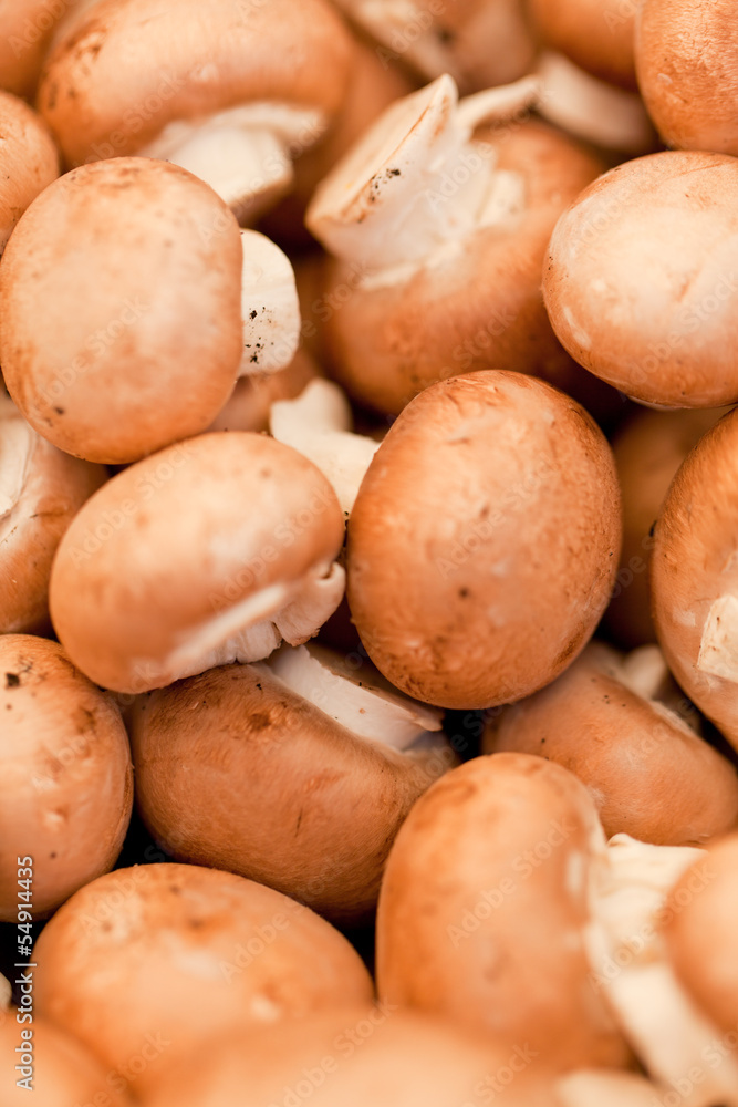 frische gesunde baune champignons auf dem markt frische gesunde baune champignons auf dem markt