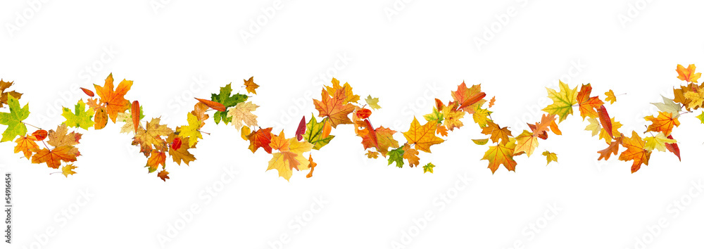Seamless pattern of autumn leaves, isolated on white background.