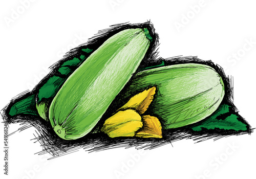 Courgette