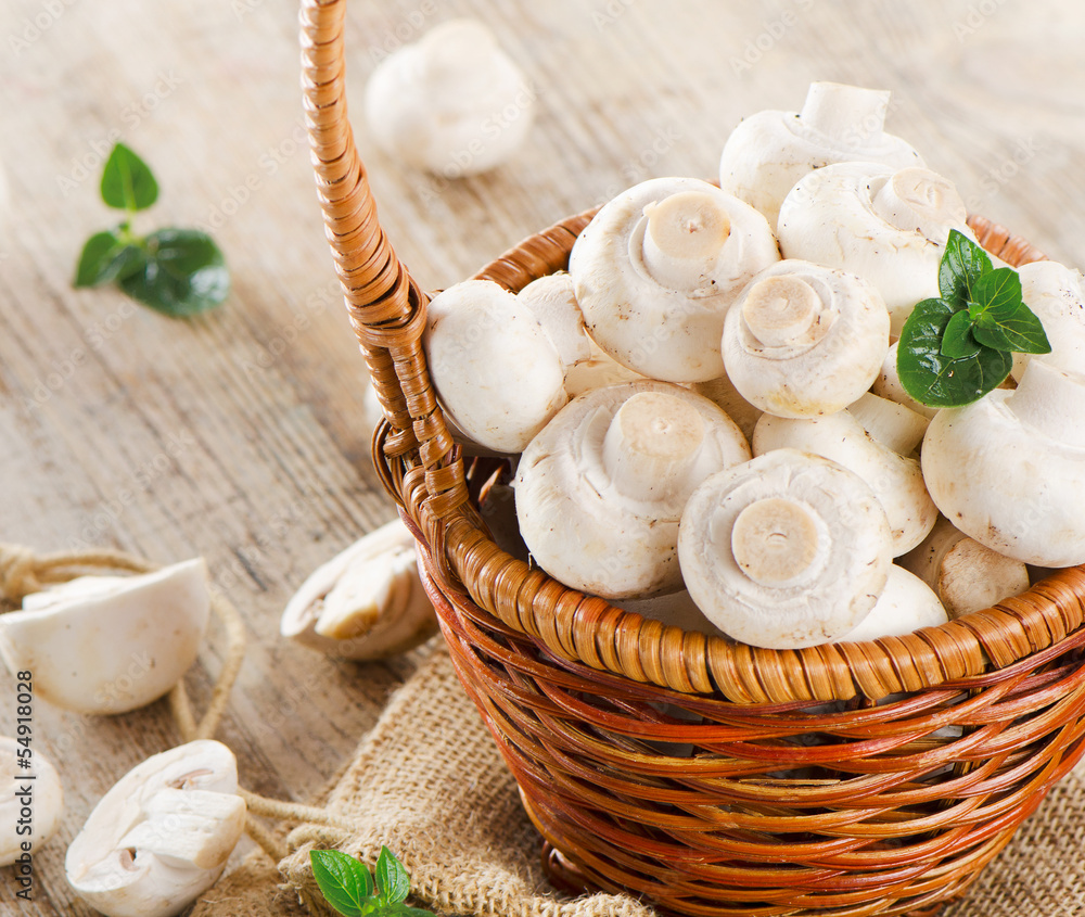 Mushrooms Mushrooms