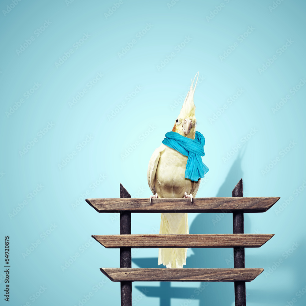 Obraz premium Funny parrot wearing scarf