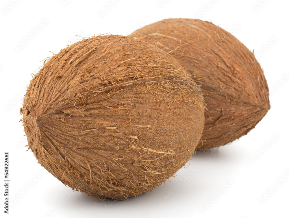 Coconuts isolated on white background Coconuts isolated on white background
