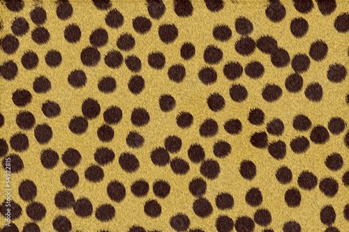 Wild animal fur