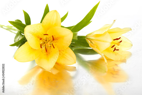 Fototapeta Naklejka Na Ścianę i Meble -  Beautiful orange lilies, isolated on white