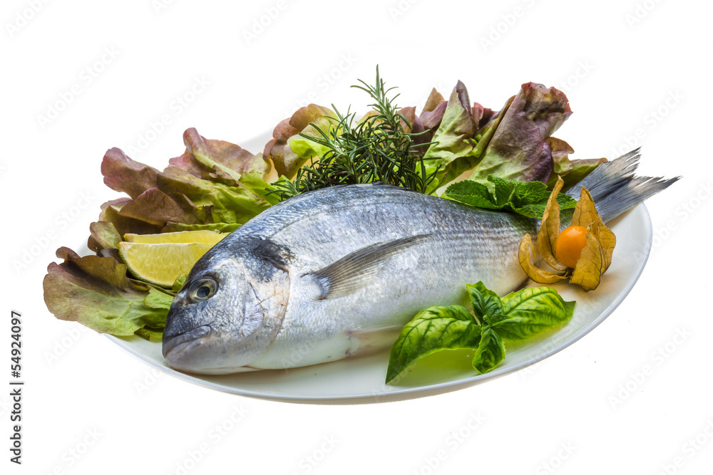 Fresh raw dorada Fresh raw dorada
