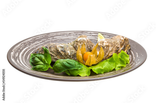 Fresh oyster