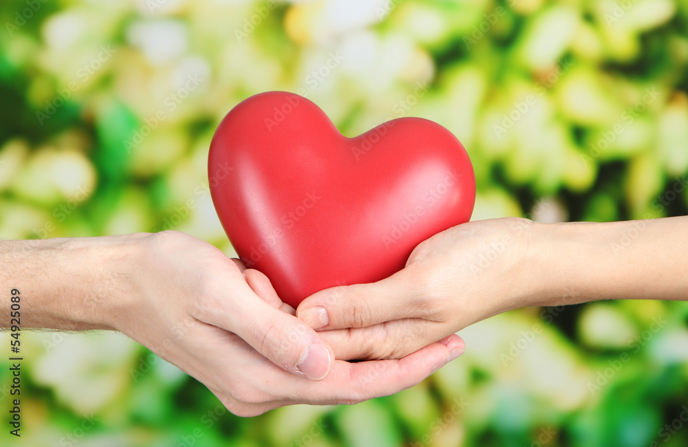 Heart in hands on nature background Heart in hands on nature background