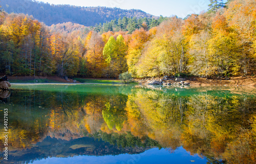 Fototapeta Naklejka Na Ścianę i Meble -  autumn in nature