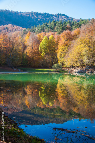 Fototapeta Naklejka Na Ścianę i Meble -  autumn in nature