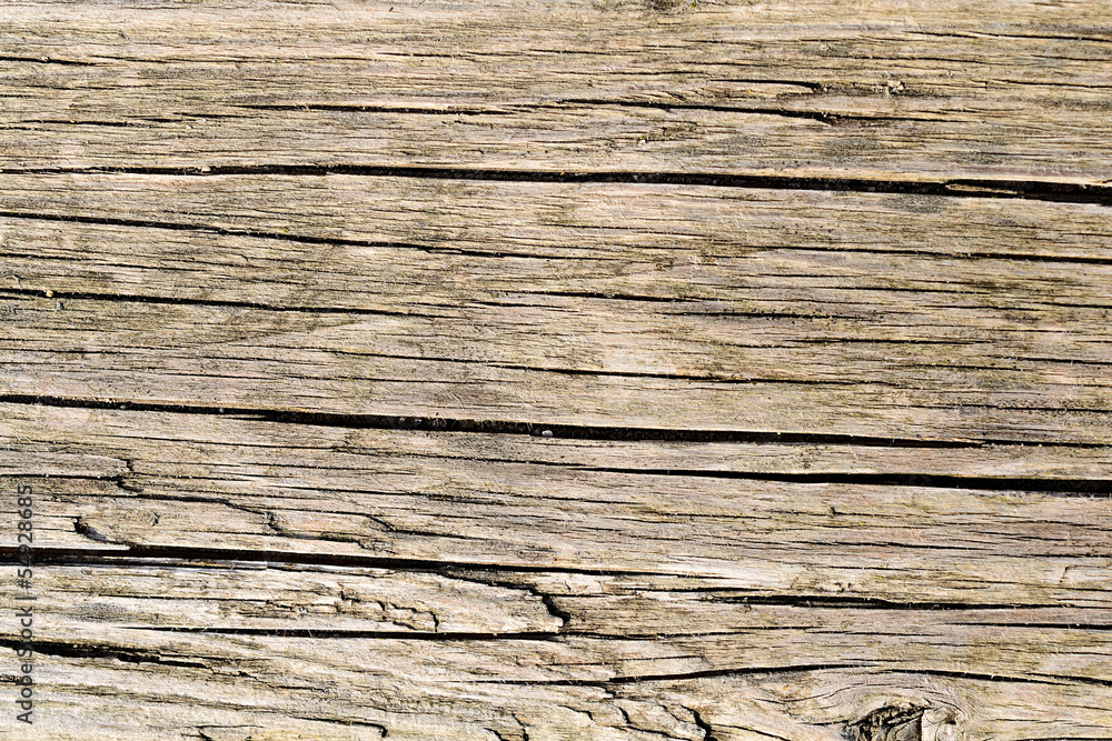 Dry wooden background damaged by weather Dry wooden background damaged by weather
