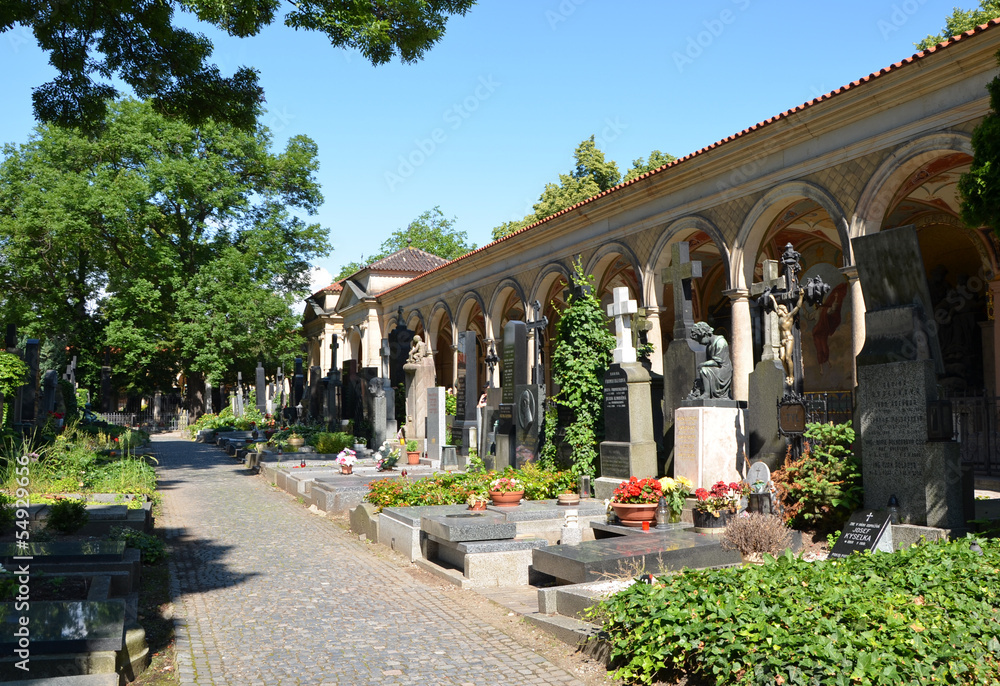 Naklejka premium Vysehrad cemetery