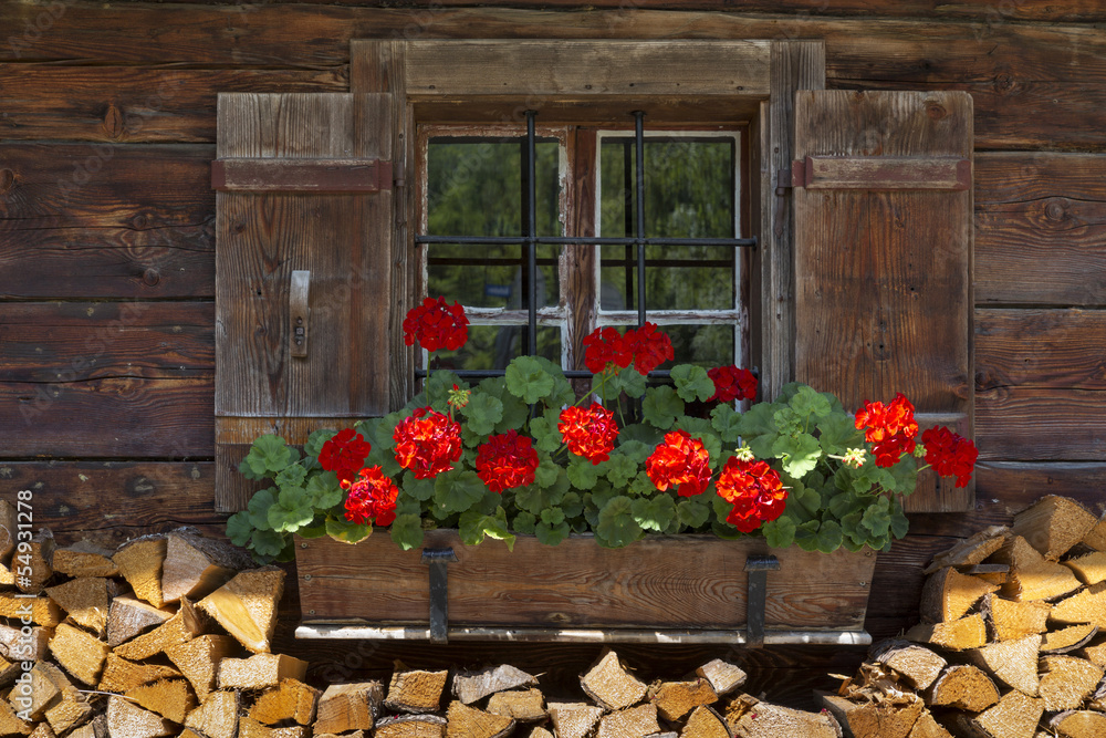 Fototapeta Okno alpejskiej chaty z geranium i drewna