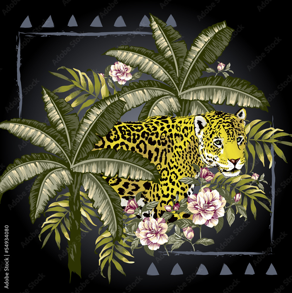 Fototapeta premium Onça