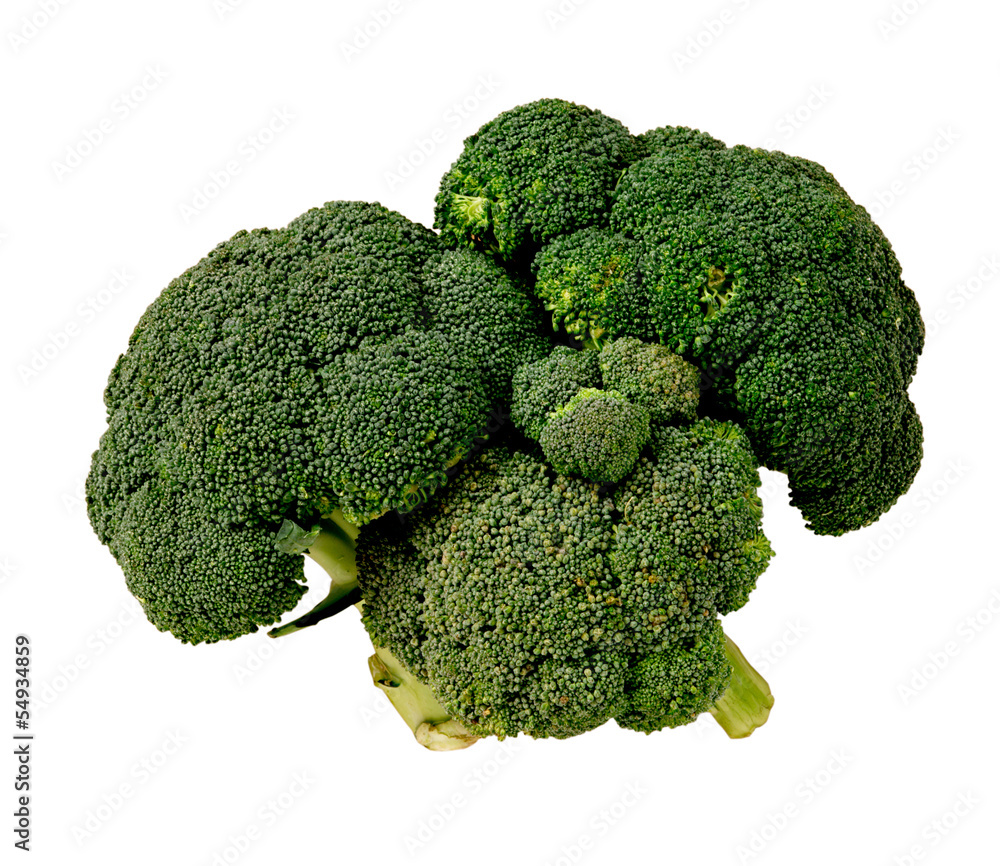 Broccoli Broccoli
