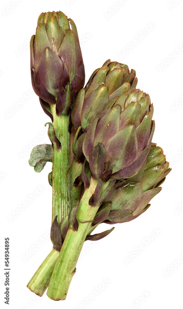 Obraz premium Carciofi