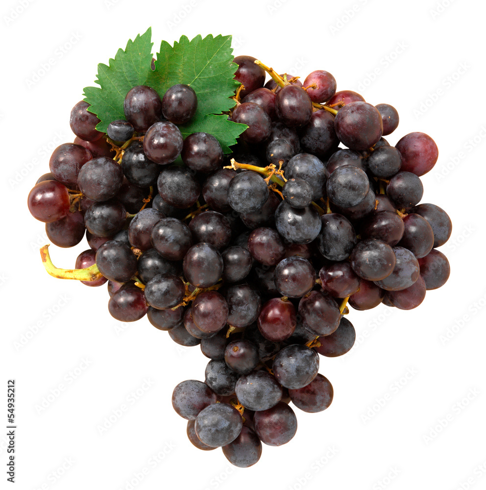 Fototapeta premium Uva nera - Black grapes
