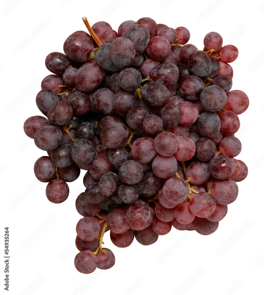 Fototapeta premium Uva nera - Black grape