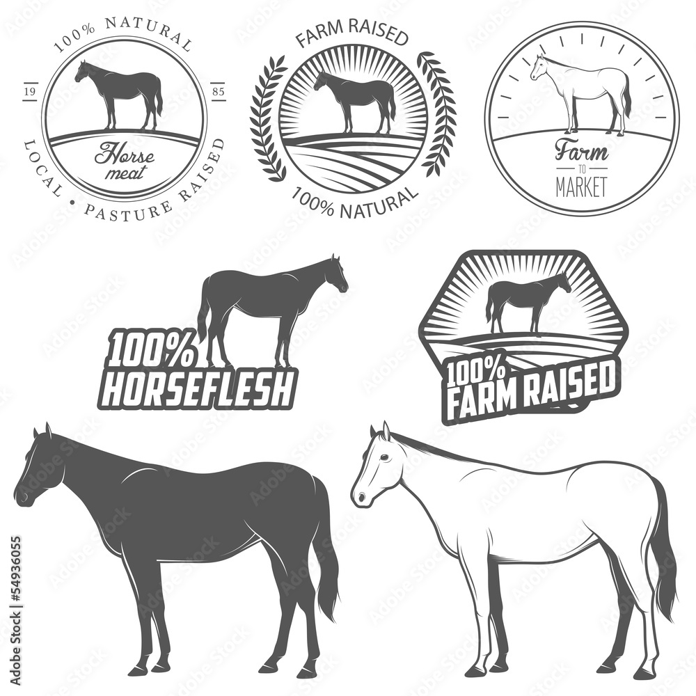 Set of horse meat (horse beef, horseflesh) labels and badges Stock ...