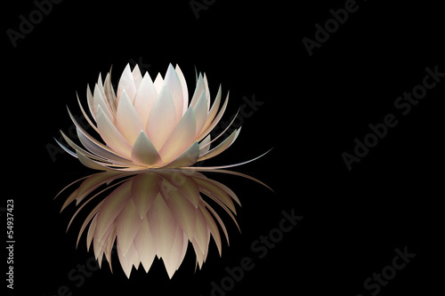 Fototapeta Naklejka Na Ścianę i Meble -  lotus flower on a black background