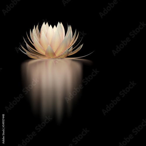Fototapeta Naklejka Na Ścianę i Meble -  lotus flower on a black background