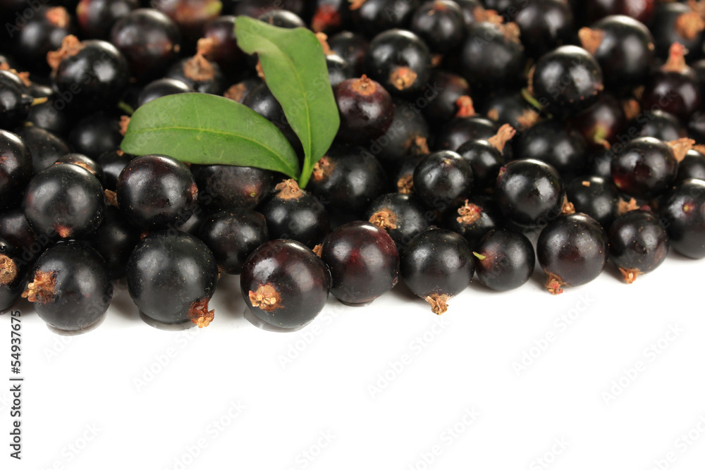 Black currant isolated on white