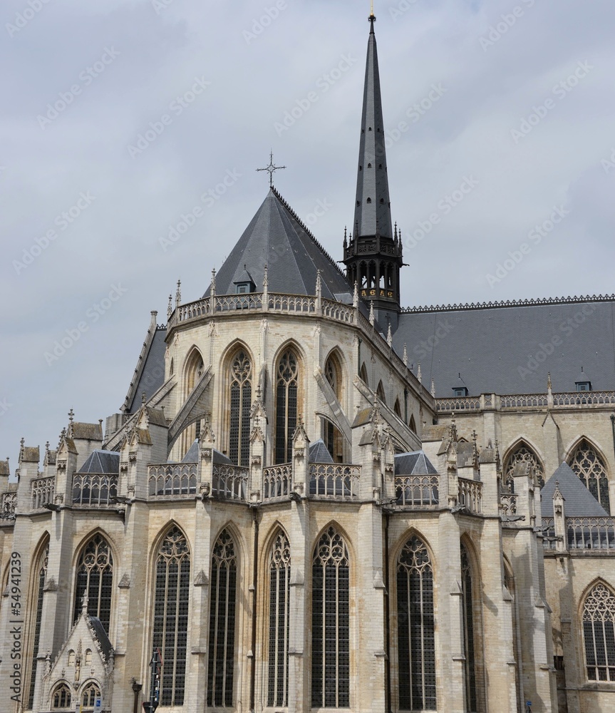 Obraz premium The Saint Peter's Church at Leuven, Belgium.