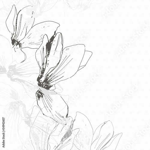 Monochrome invitation or greeting card with cyclamen