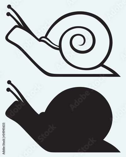 Snail isolated on blue background