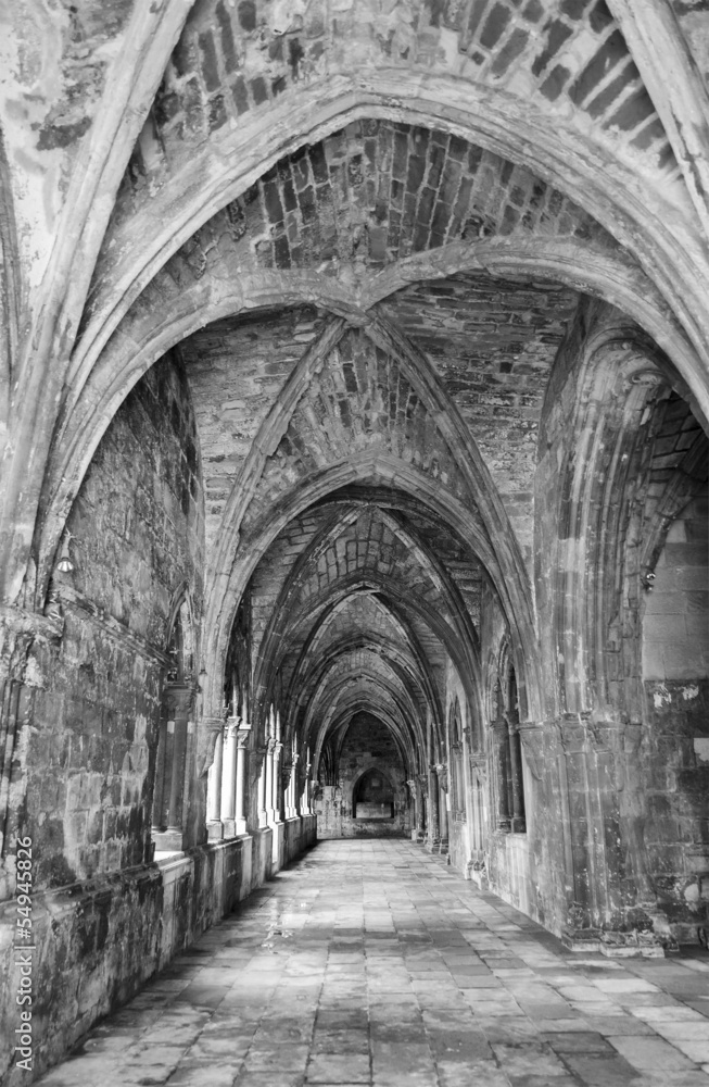 Ancient gothic cloister in black and white Ancient gothic cloister in black and white