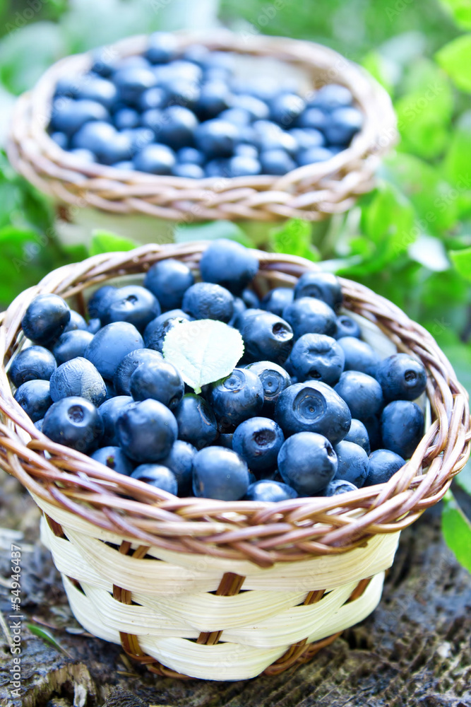 Blueberries basket closeup Blueberries basket closeup