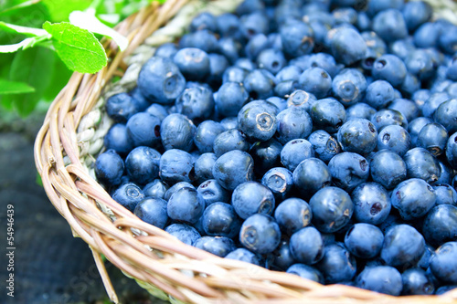 Wallpaper Mural Blueberries basket closeup Torontodigital.ca