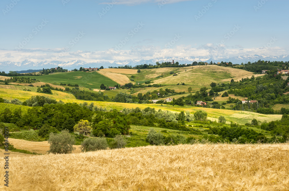 Monferrato (Italy) Monferrato (Italy)