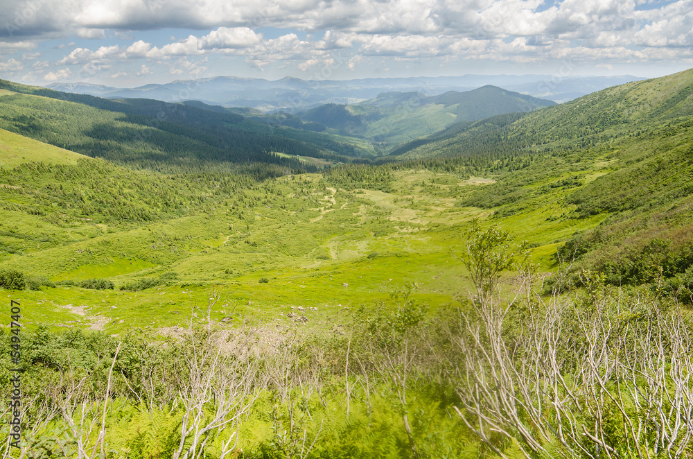 Fototapeta premium Carpathian Mountains in Ukraine