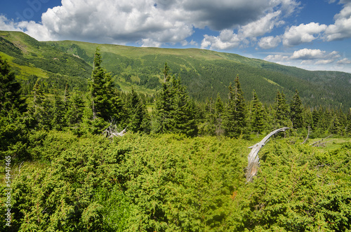 Carpathian Mountains in Ukraine photo