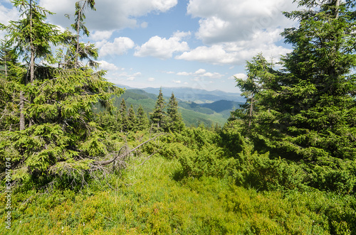 Carpathian Mountains in Ukraine photo