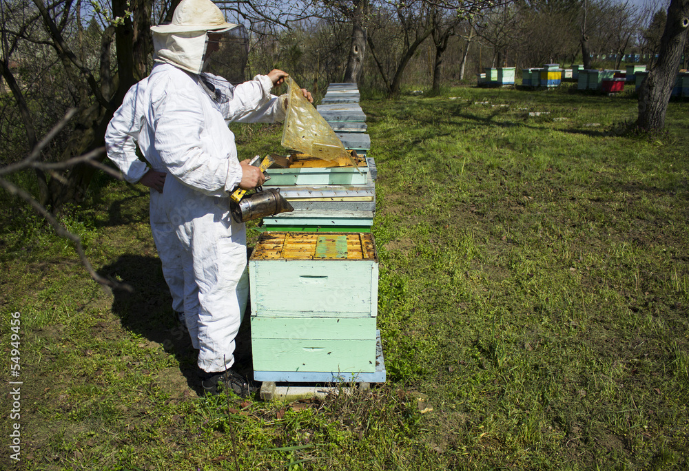 apiarist in the farm apiarist in the farm